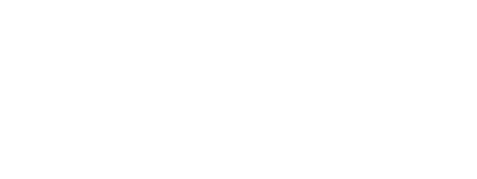 Boschini